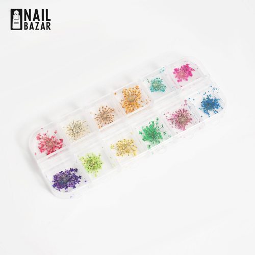 دیزاین گل خشک ۱۲ تایی - Color Dried Flower Nail Art Set